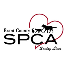 Brant county spca logo.